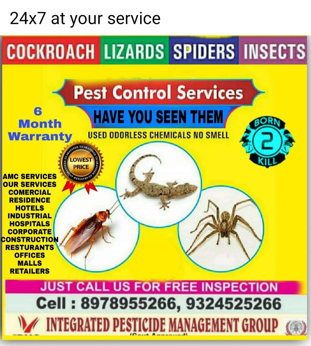 Pest Control Services